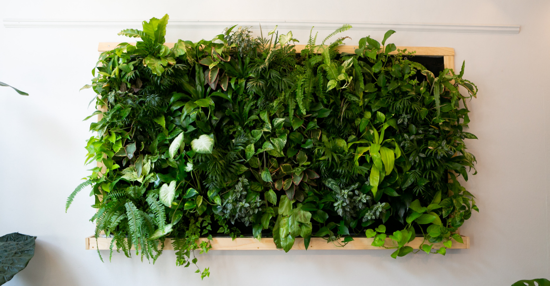 artificial green wall