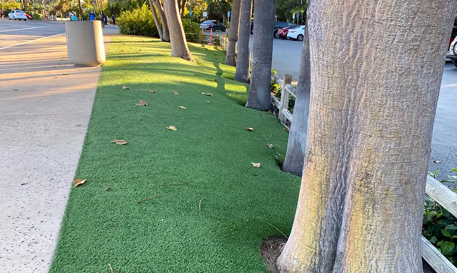 Artificial Grass walkway at San Diego Zoo