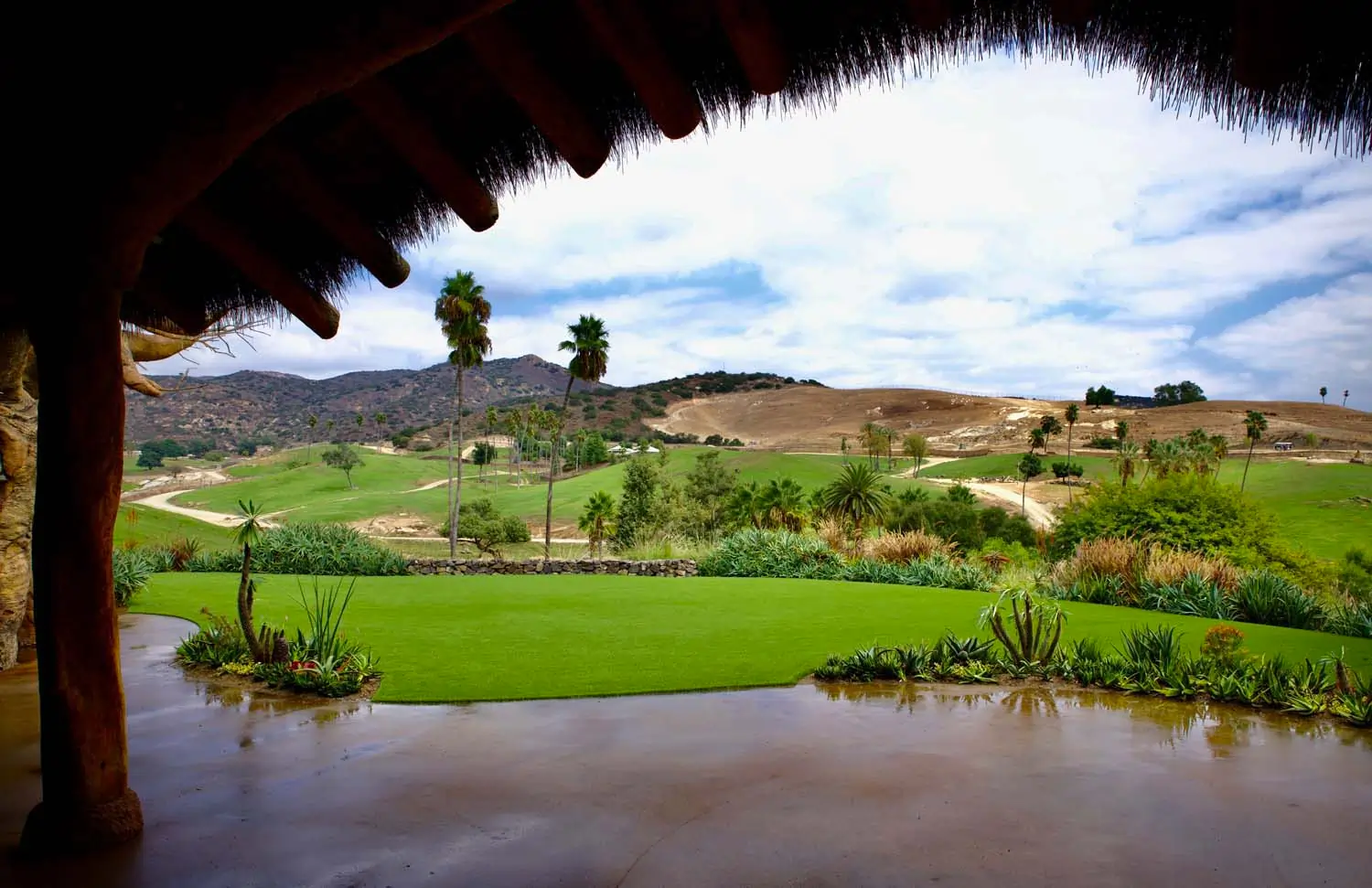 Commercial artificial grass at San Diego Zoo