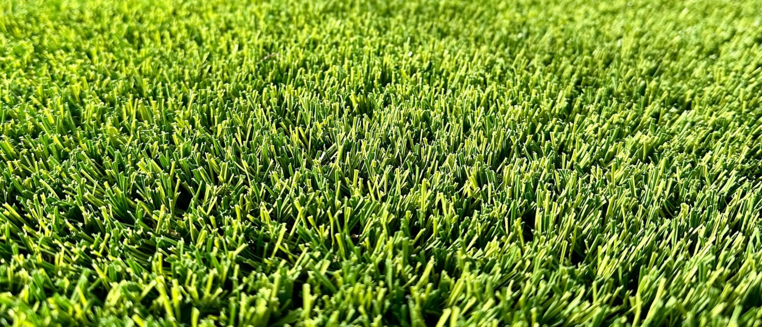 San Diego artificial turf SYNLawn